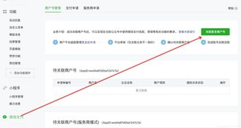 带中文的域名怎么设置使用,带中文的域名怎么设置使用方法