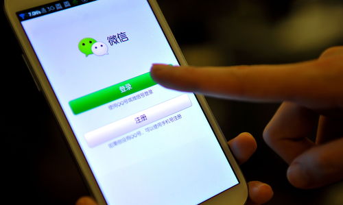 手机如何登录中文域名,手机如何登录https网页