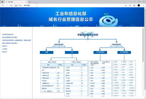 中文域名如何输入,中文域名在哪里查询
