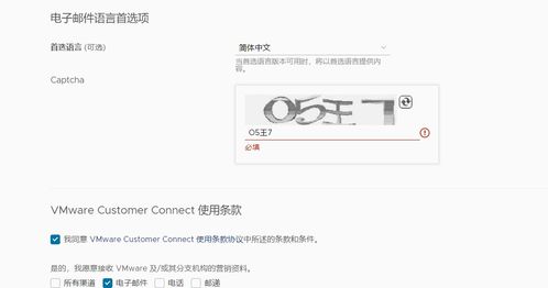 域名中文注册太金苹果靠谱的简单介绍
