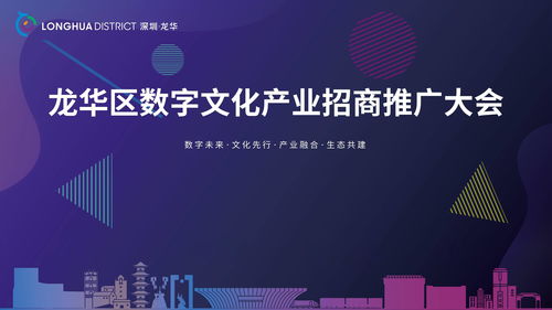 关于深圳专业中文域名招商的信息