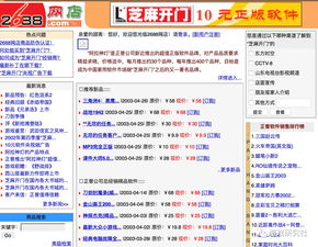 关于中文域名权威报道的信息