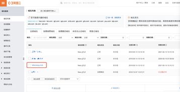 中文域名申请采购的简单介绍