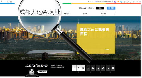 中文国际域名网站免费观看,中文域名网址链接