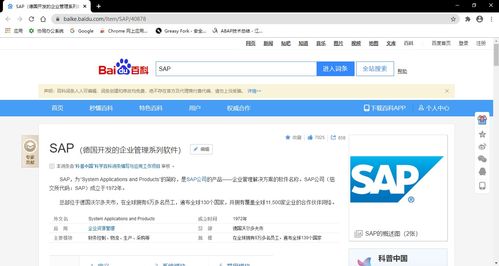ie7中如何直接访问中文域名的简单介绍