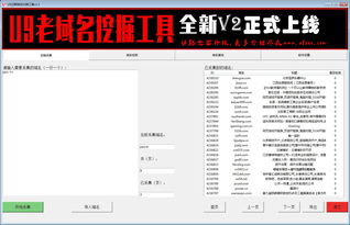 是否支持中文注册vip域名,是否支持中文注册vip域名
