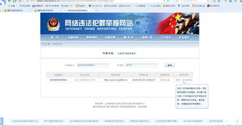 中文域名过期缴费是骗子吗,中文域名续费流程