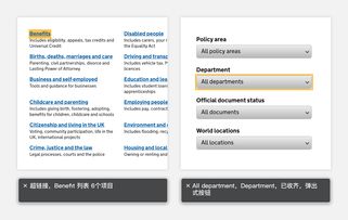青岛中文域名网站注册流程,青岛中文域名网站注册流程及费用