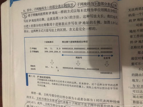 网络中文域名申请的简单介绍