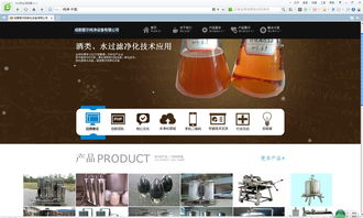 域名查询软件完整中文版,域名查询app