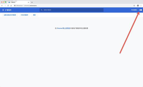 谷歌域名怎么打中文,谷歌域名多少钱买的