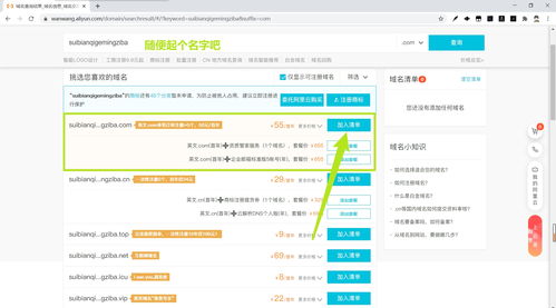 网上中文域名办理公司,中文域名注册要求