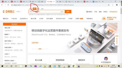 中文域名后缀tv,中文域名后缀网址为何这么贵