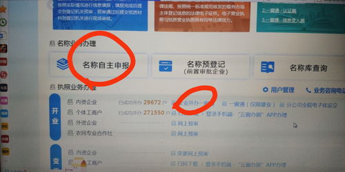 中文域名商城注册公司,中文域名注册价格及续费