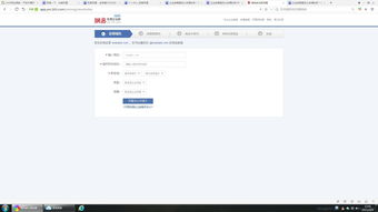 中文域名申请价格表,中文域名收费标准
