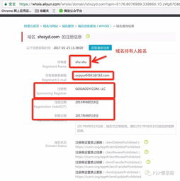 中文域名被抢注骗子,中文域名诈骗如何处理