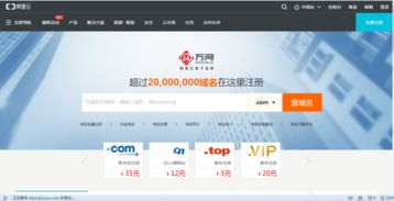 vip域名中文,vip域名有价值吗