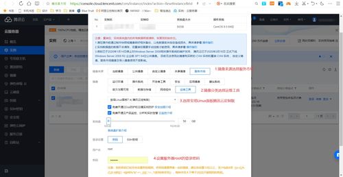 中文域名使用宝塔用不起,宝塔设置的域名无法访问
