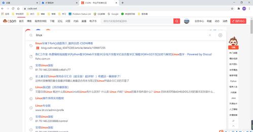 中文域名怎么连接到网站上,中文域名怎么用