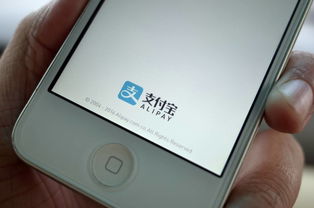 001.手机中文域名转让,转让中文域名注册