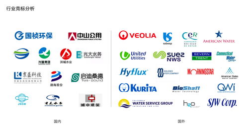 保护企业品牌中文域名,如何保护企业名称