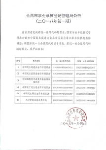 中文域名注册登记,中文域名注册管理机构