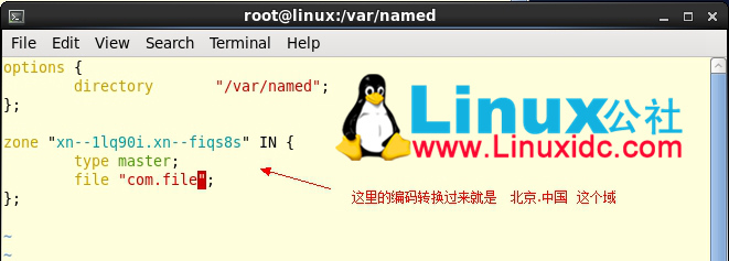 网站中文域名如何修改网址,网站怎么改中文