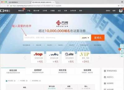 中文域名过期网站,中文域名不续费会怎样