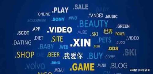 中文域名规范模式,中文域名的含义