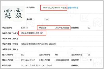 青岛中文域名注册商标费用,中文域名注册服务商