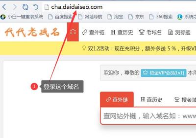 seo查询支持中文域名吗,seo查询支持中文域名吗为什么
