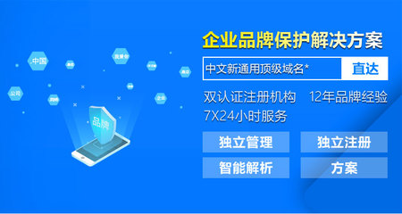 中文域名注册保护,中文域名注册保护怎么解除