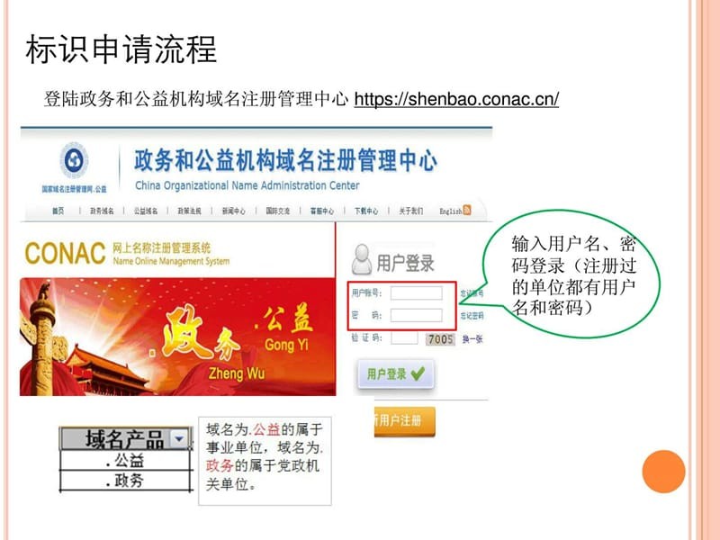 中文域名注册挂标流程详解,中文域名注册挂标流程详解视频
