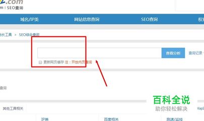 seo查询支持中文域名是什么,中文域名在搜索引擎排名上有优势吗