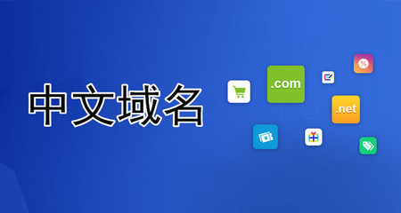中文域名访问必须输入net吗,中文域名访问不了