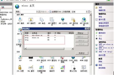 域名批量生成工具完整中文版,域名批量查询工具 支持自定义