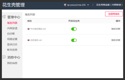 国内中文域名解析,国内中文域名解析网站