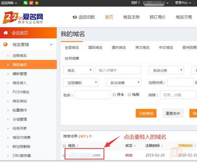 中文域名审核管理平台,中文域名注册管理办法