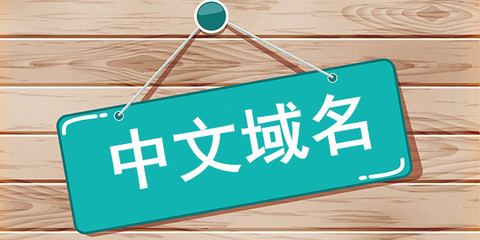 中文域名和商标哪个重要,中文域名和商标的区别