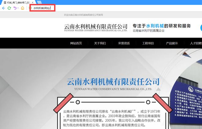 中文域名做成网站,中文的域名