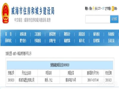 政务中文域名是什么,政府官方网站的域名后缀是