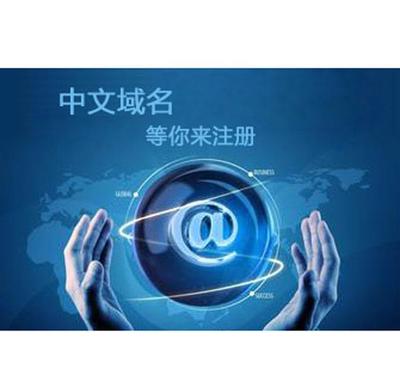 政府机关申请中文域名,中文域名申报