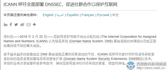 中文域名保护是什么,中文域名啥意思