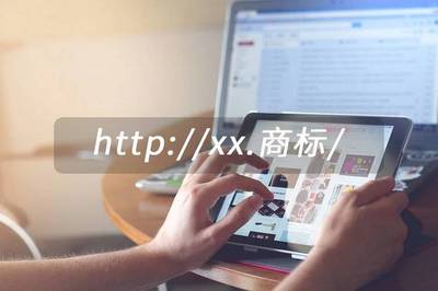 中文域名出售页面,中文域名交易价格