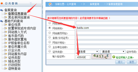 中文各级域名怎么查询,中文各级域名怎么查询的