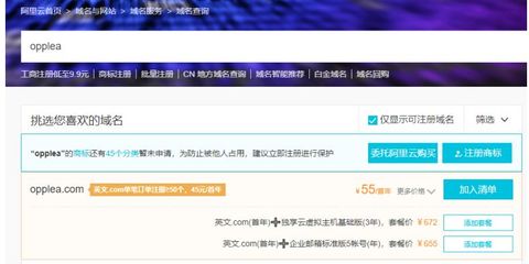中文域名注册99,中文域名注册局官网