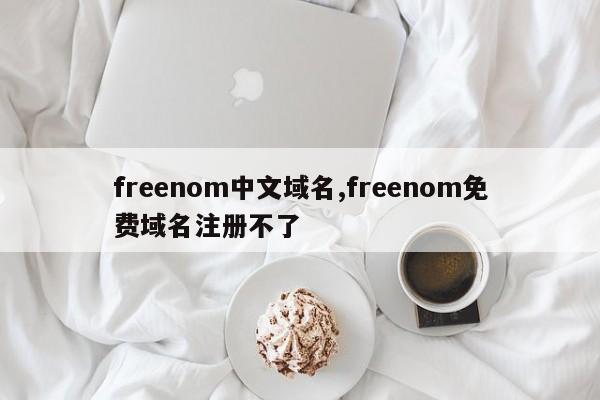 freenom中文域名,freenom免费域名注册不了