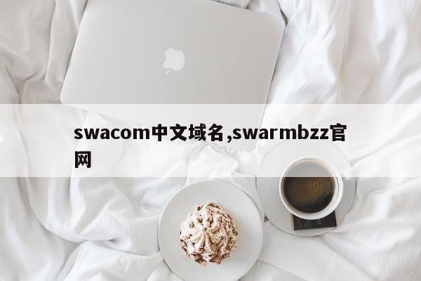swacom中文域名,swarmbzz官网