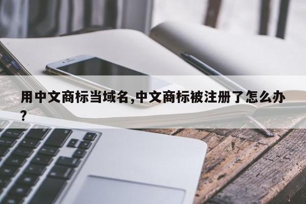 用中文商标当域名,中文商标被注册了怎么办?