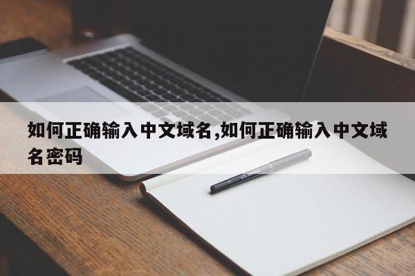 如何正确输入中文域名,如何正确输入中文域名密码